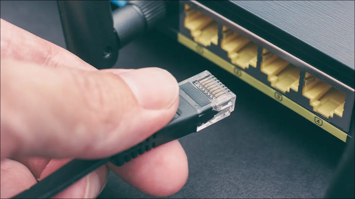 Jemand steckt das Ethernet-Kabel seines MoCA-Adapters in seinen Router.