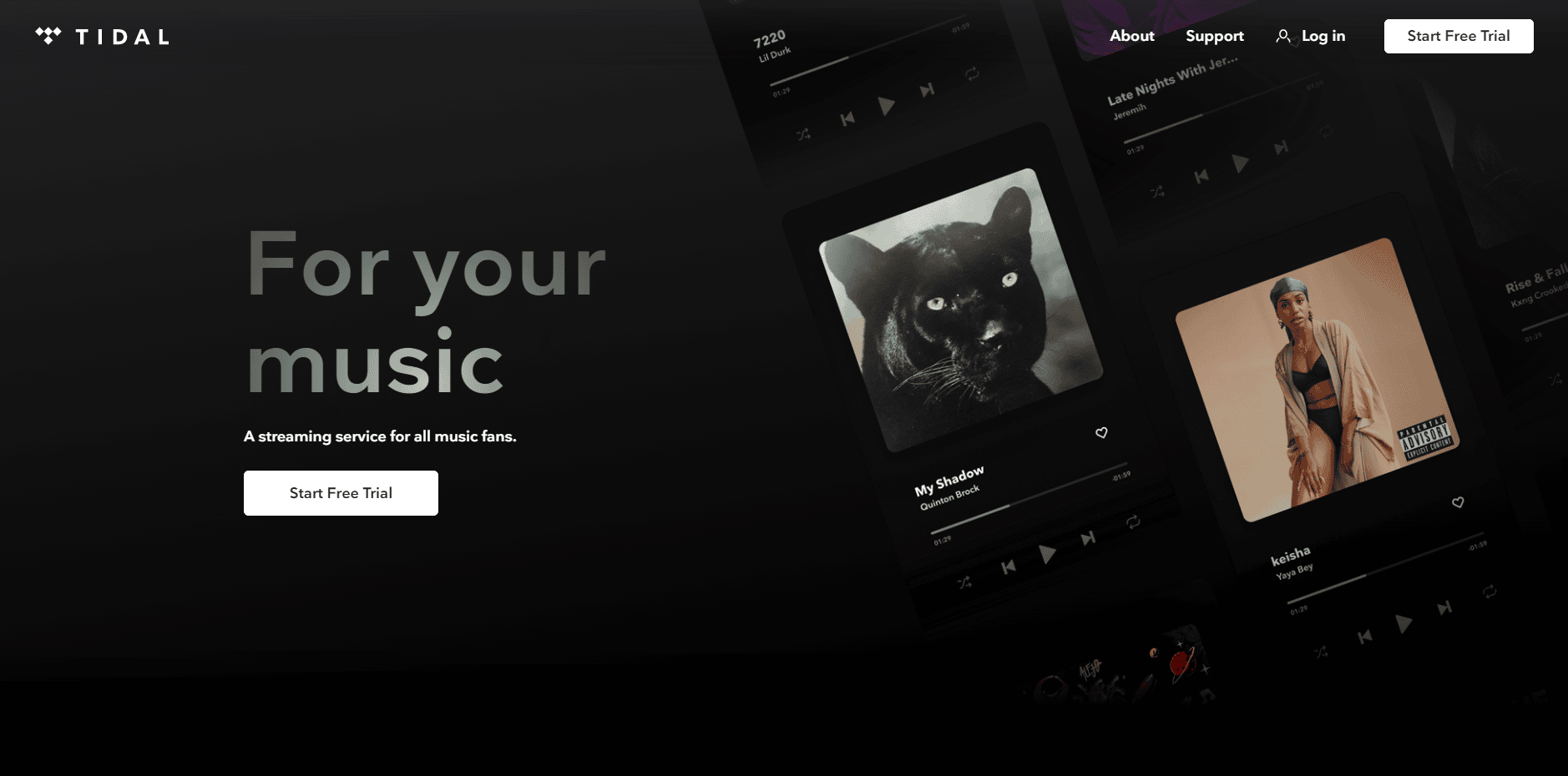 EPIX Now Tidal の Web サイト