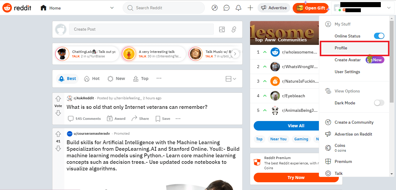 Pilih Profil | Cara Menampilkan Postingan di Reddit di Android