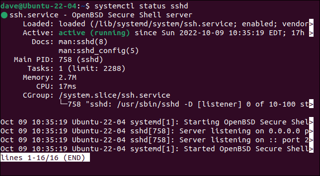 Los detalles de un solo servicio mostrado por systemctl