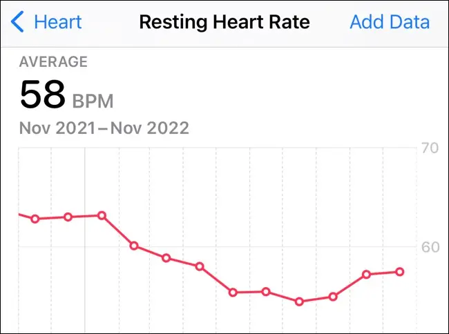 Apple Health での 1 年間の安静時の心拍数情報