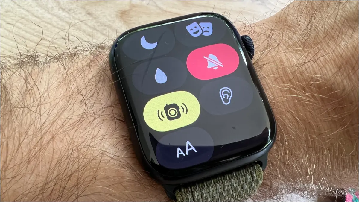 Apple Watch 上的對講機