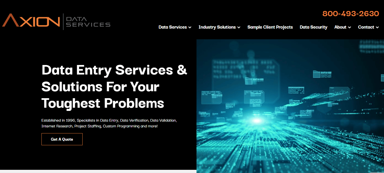 Axion Data Services resmi web sitesi