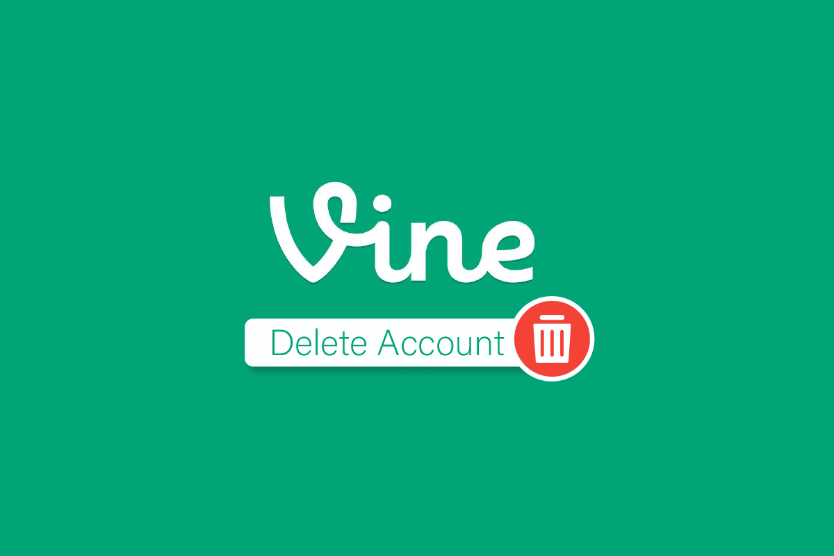 如何删除 Vine 帐户