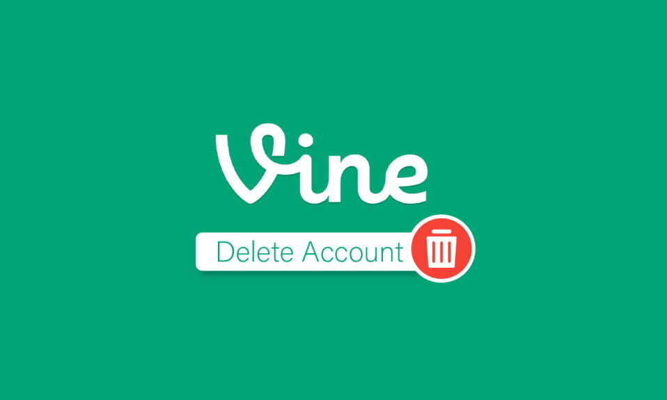 วิธีการลบบัญชี Vine