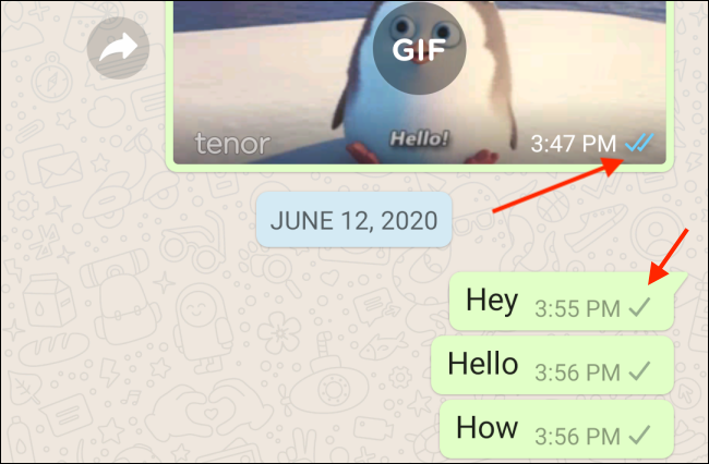 WhatsApp のメッセージを 1 回チェックする