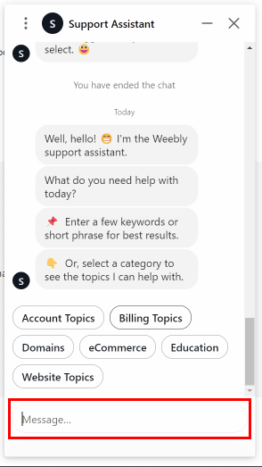 在聊天中输入您的查询以与客户主管交谈 |如何删除 Weebly 网站