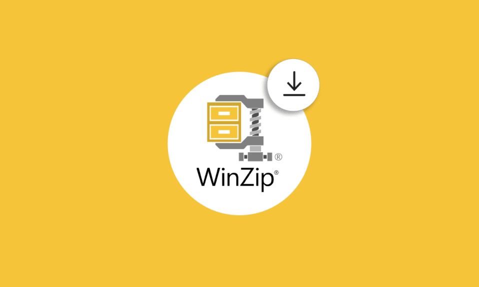 Die 15 besten kostenlosen WinZip-Alternativen zum Herunterladen