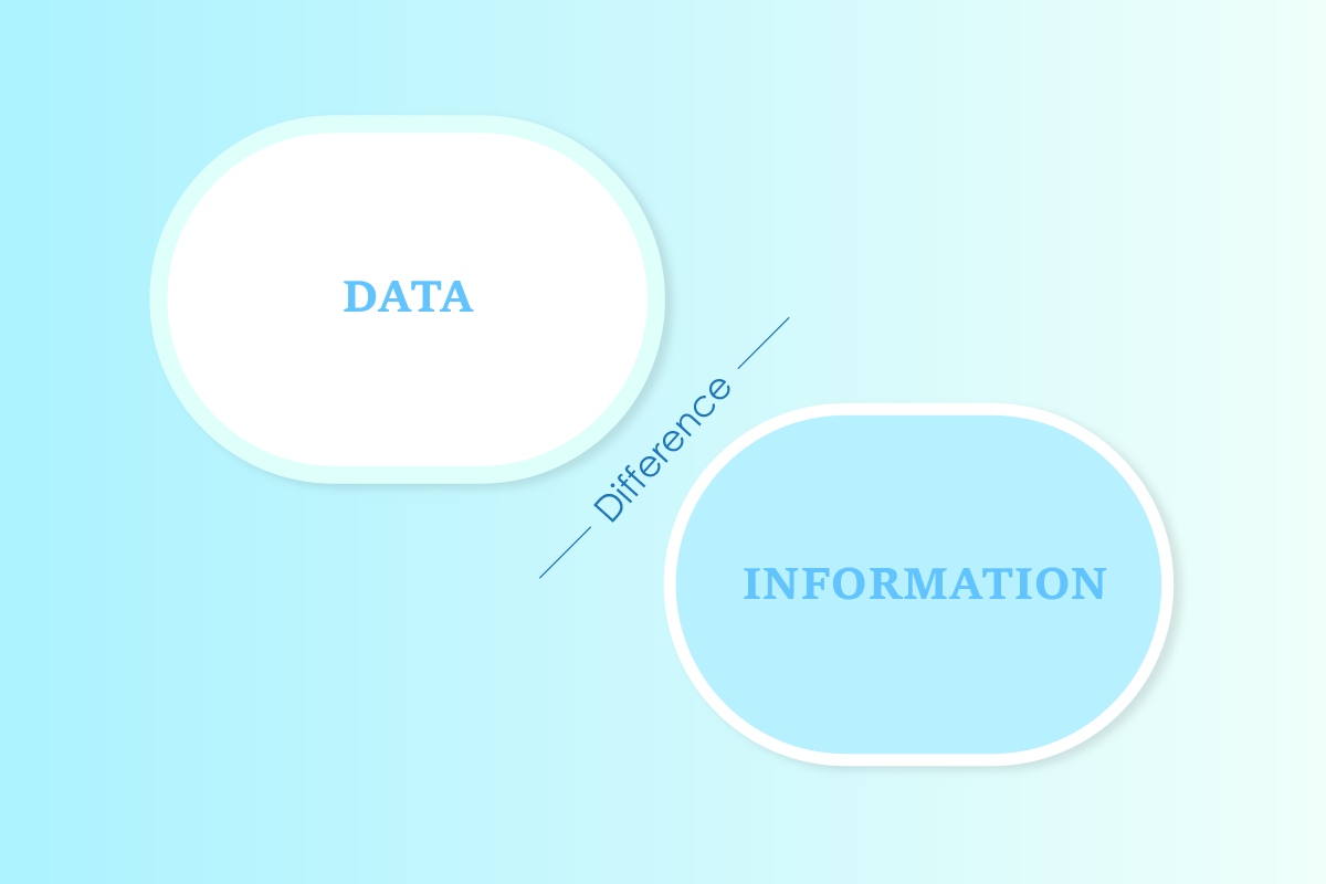 데이터와 정보 예제의 차이점은 무엇입니까?