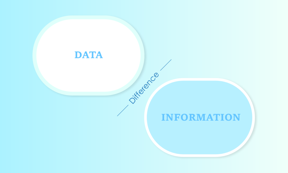 데이터와 정보 예제의 차이점은 무엇입니까?