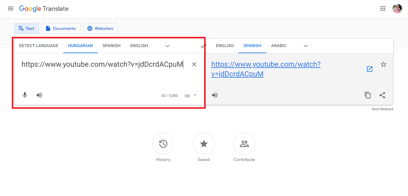 Incolla l'URL del video bloccato. Come guardare i video di YouTube bloccati