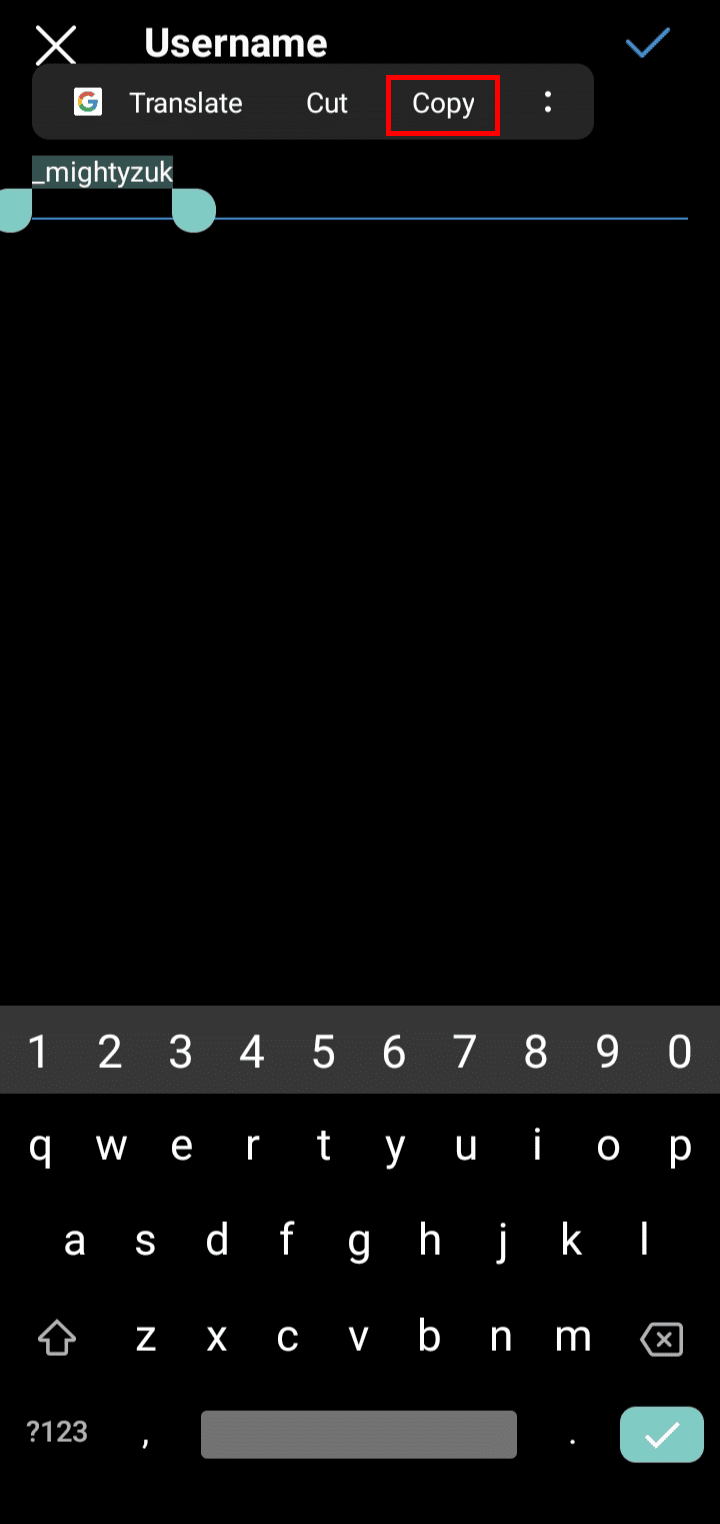 Wählen Sie den Benutzernamen aus und tippen Sie auf die Option Kopieren, um ihn zu kopieren.
