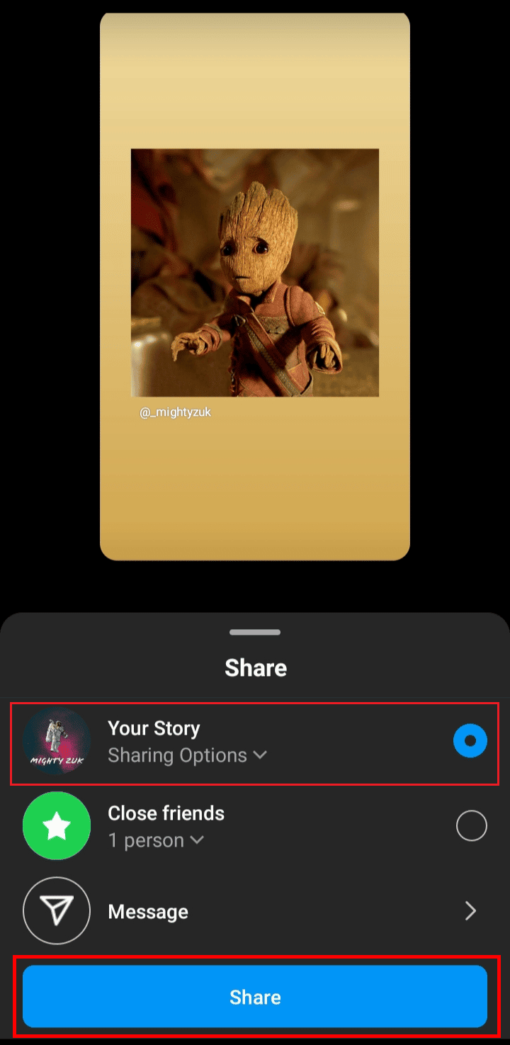 Wählen Sie das Optionsfeld Ihre Story und tippen Sie auf die Option Teilen, um Ihren Beitrag als Instagram-Story zu teilen