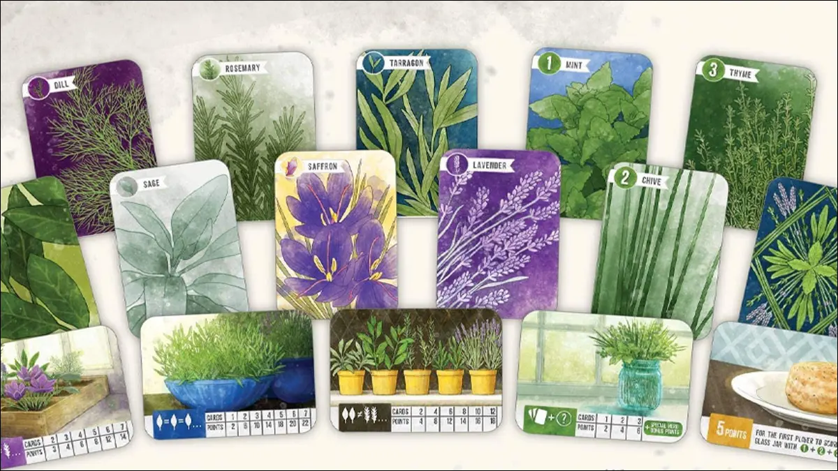 Le colorate carte delle erbe del gioco Herbaceous.