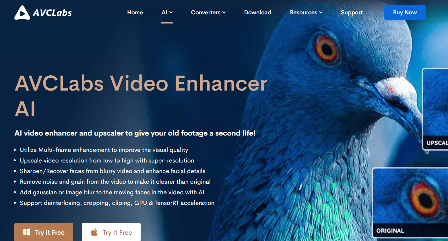 AVCLabs Video Enhancer AI. أفضل تطبيق مجاني لتحسين الفيديو لنظام Android