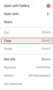 Haga clic con el botón derecho en los archivos y haga clic en Copiar en el menú contextual | Cómo eliminar imágenes en Chromebook de solo lectura