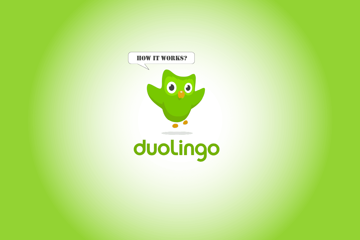 Duolingo 是什么以及 Duolingo 是如何工作的？技巧和窍门