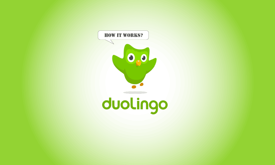 Duolingo とは何ですか? Duolingo のしくみは?ヒントとコツ