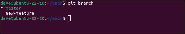 Usando o comando Git branch para listar as ramificações no repositório git