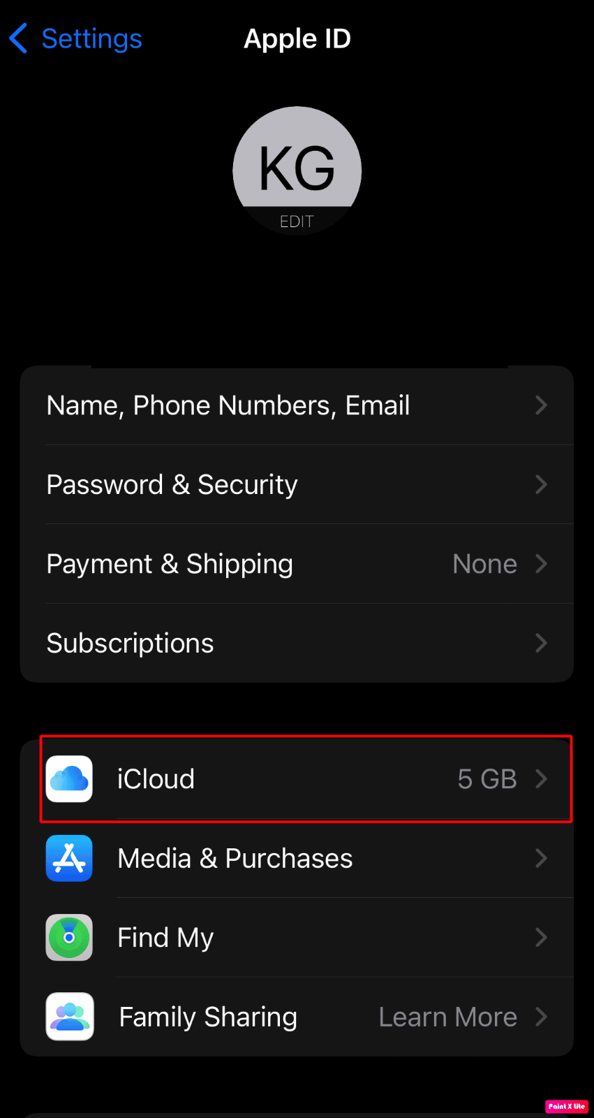 haga clic en el icono de icloud | Cómo arreglar todos los nombres de contactos desaparecidos en iPhone