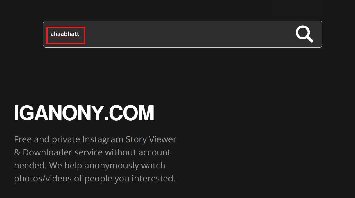 在 Iganony 的搜索框中输入用户名 |无需帐户即可查看 Instagram 帖子和故事