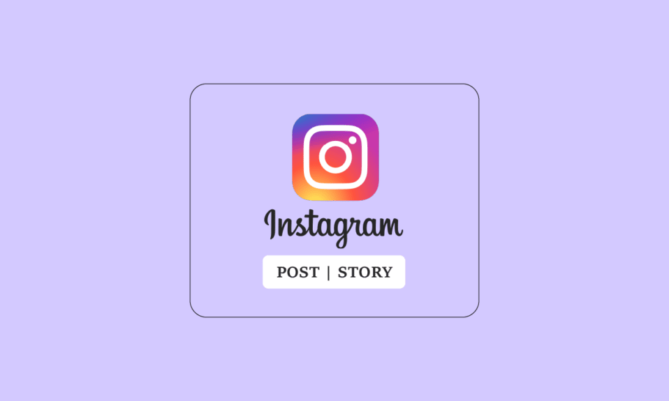 Comment afficher les publications et les histoires Instagram sans compte