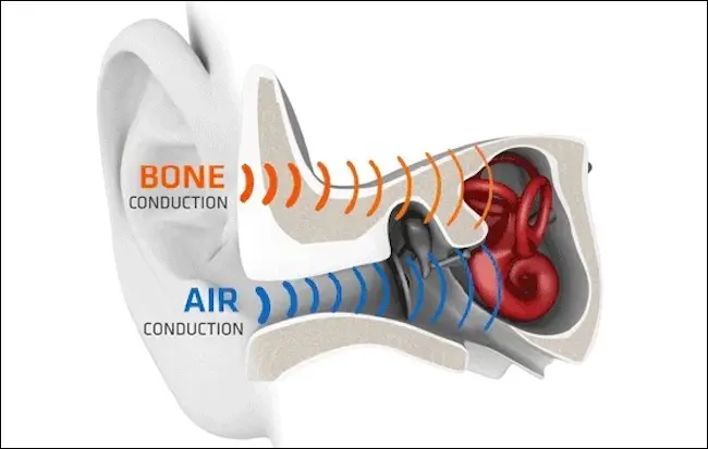 Un schéma d'une oreille montrant la conduction osseuse contournant le conduit auditif.