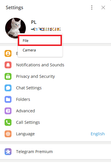 Clique em Arquivo para fazer upload de fotos do computador. Como adicionar, alterar e excluir a imagem do perfil do Telegram