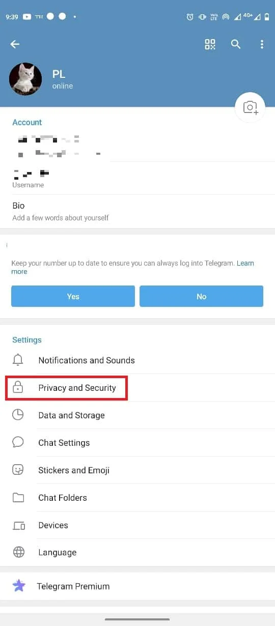 arahkan ke Privasi dan Keamanan. Cara Menambah, Mengubah dan Menghapus Gambar Profil Telegram