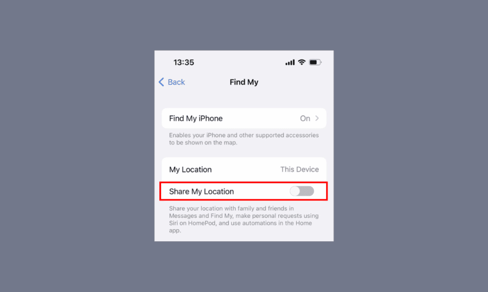 İPhone Paylaşımı Konumum Gri Görünüyor Nasıl Onarılır