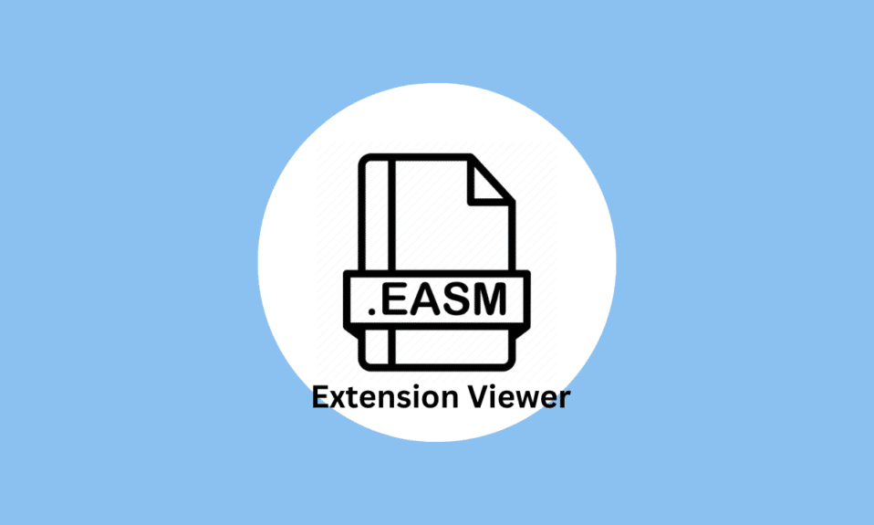 โปรแกรมดูส่วนขยาย EASM คืออะไร