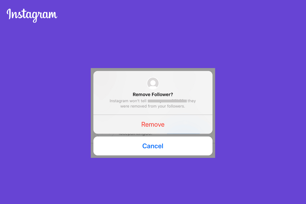 O que acontece quando você remove um seguidor no Instagram