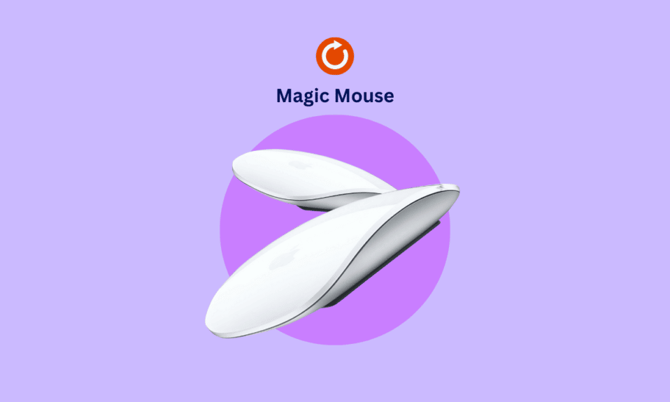 Comment réinitialiser la souris magique