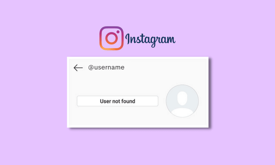 Comment réparer un utilisateur introuvable sur Instagram