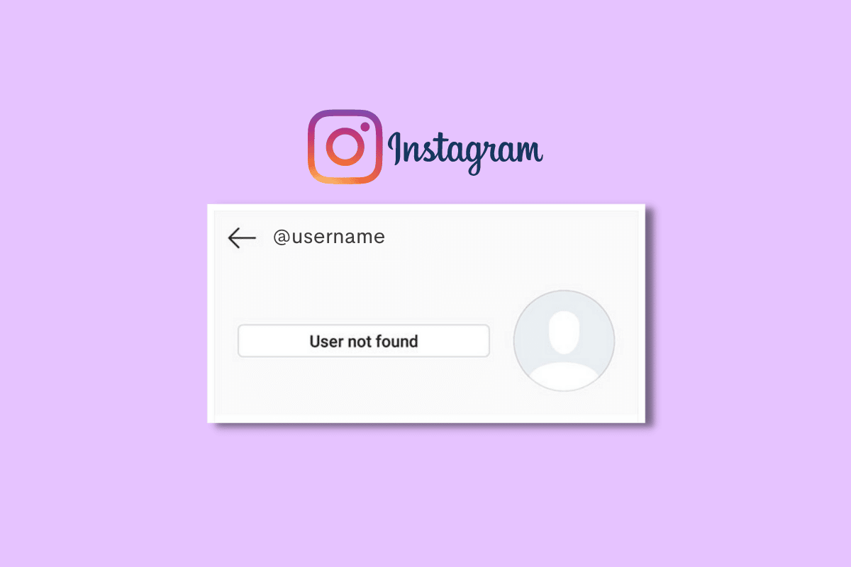 Comment réparer un utilisateur introuvable sur Instagram