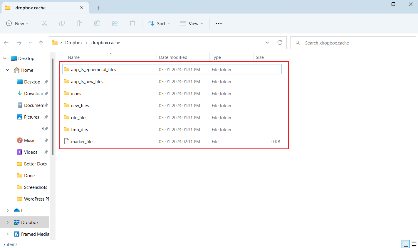 Folder cache Dropbox dengan semua file cache ada di sana