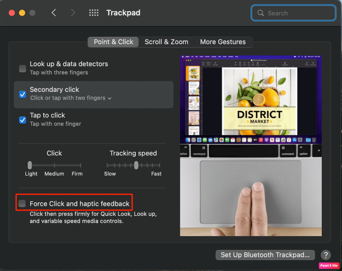 dezactivați clic forțat și opțiune de feedback haptic | trackpad-ul nu funcționează Mac