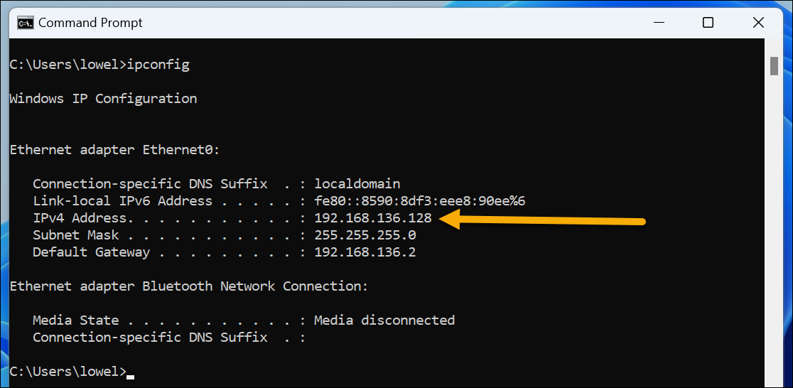 ipconfig لعنوان IP المحلي