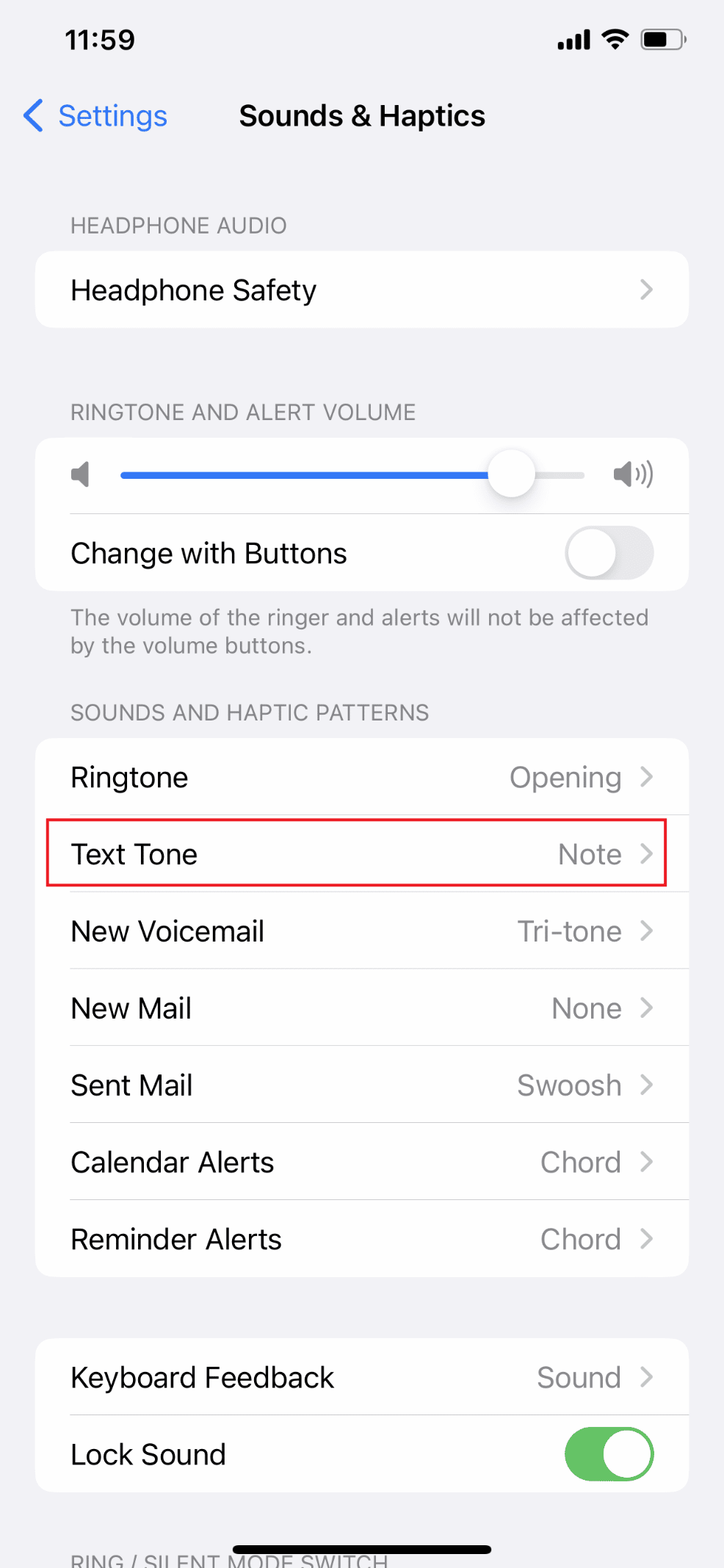 Kemudian, pilih Nada Teks | Mengapa Notifikasi Saya Tidak Bersuara di iPhone