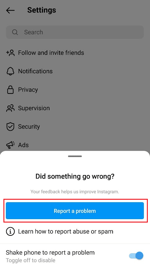 Öffnen Sie die Instagram-App und schütteln Sie Ihr Telefon – tippen Sie auf Problem melden und übermitteln Sie das Problem | So reparieren Sie schwarze Instagram-Fotos