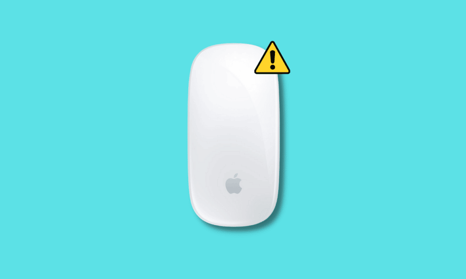 Как исправить, что Magic Mouse не подключается в Windows 10