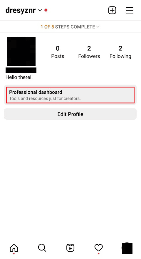 点击您的 IG bio 下的 Professional dashboard 选项