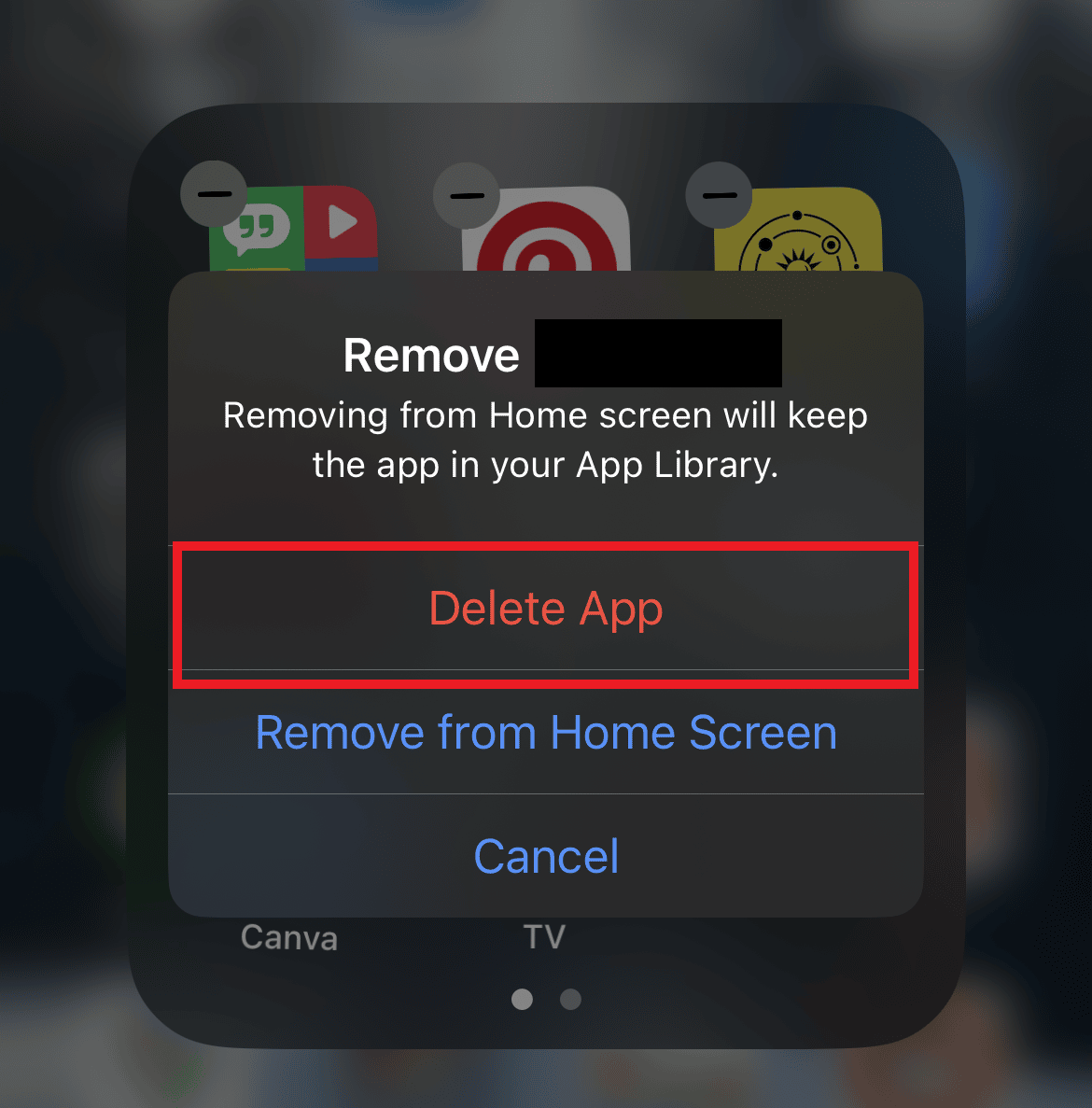 Sélectionnez Supprimer l'application | Comment réparer HBO Max ne fonctionne pas sur iPhone