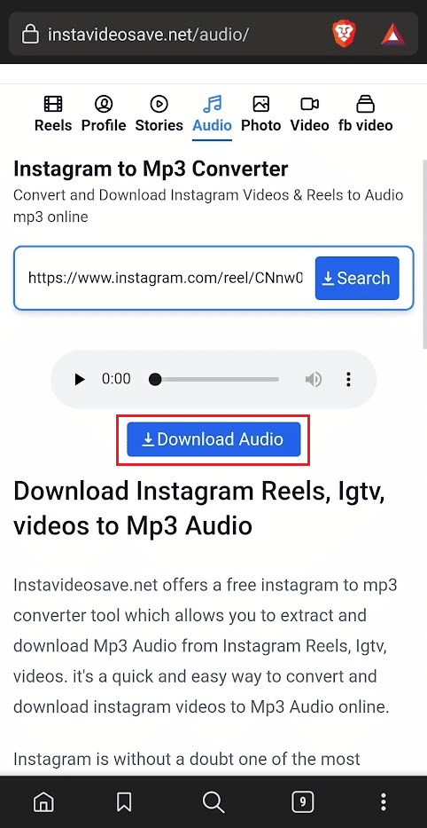 appuyez sur l'option Télécharger l'audio pour enregistrer l'audio IG sur la mémoire de votre téléphone