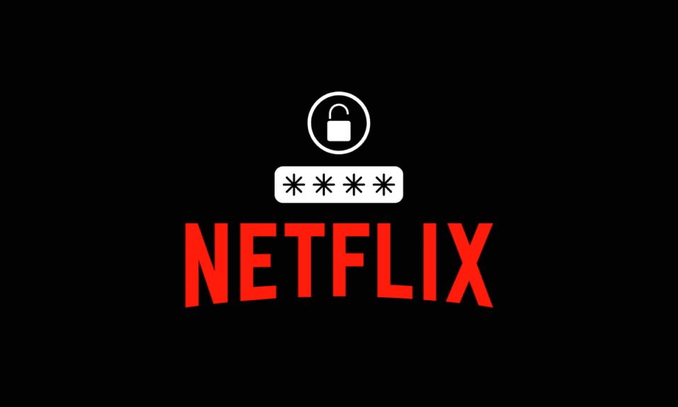 我的 Netflix 密碼是什麼？