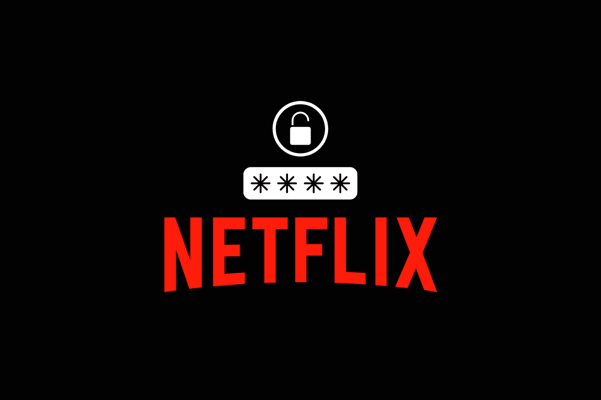 我的 Netflix 密码是什么？