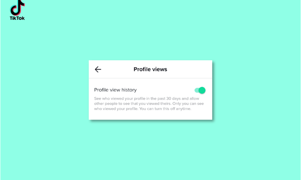 Cómo activar y desactivar el historial de visualización de perfil en TikTok