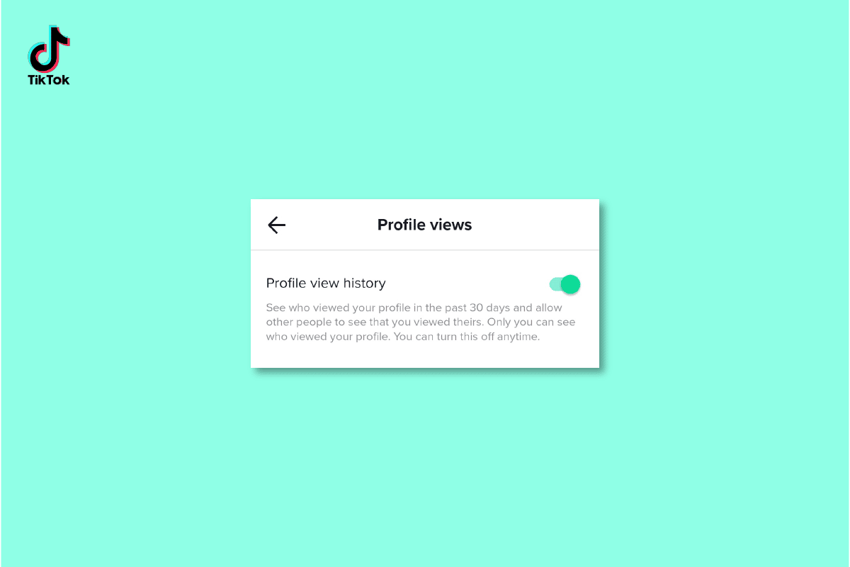 TikTokでプロフィールの閲覧履歴をオンまたはオフにする方法