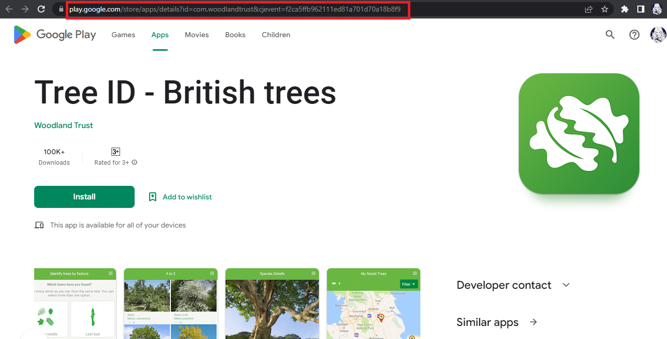 Identification des arbres britanniques