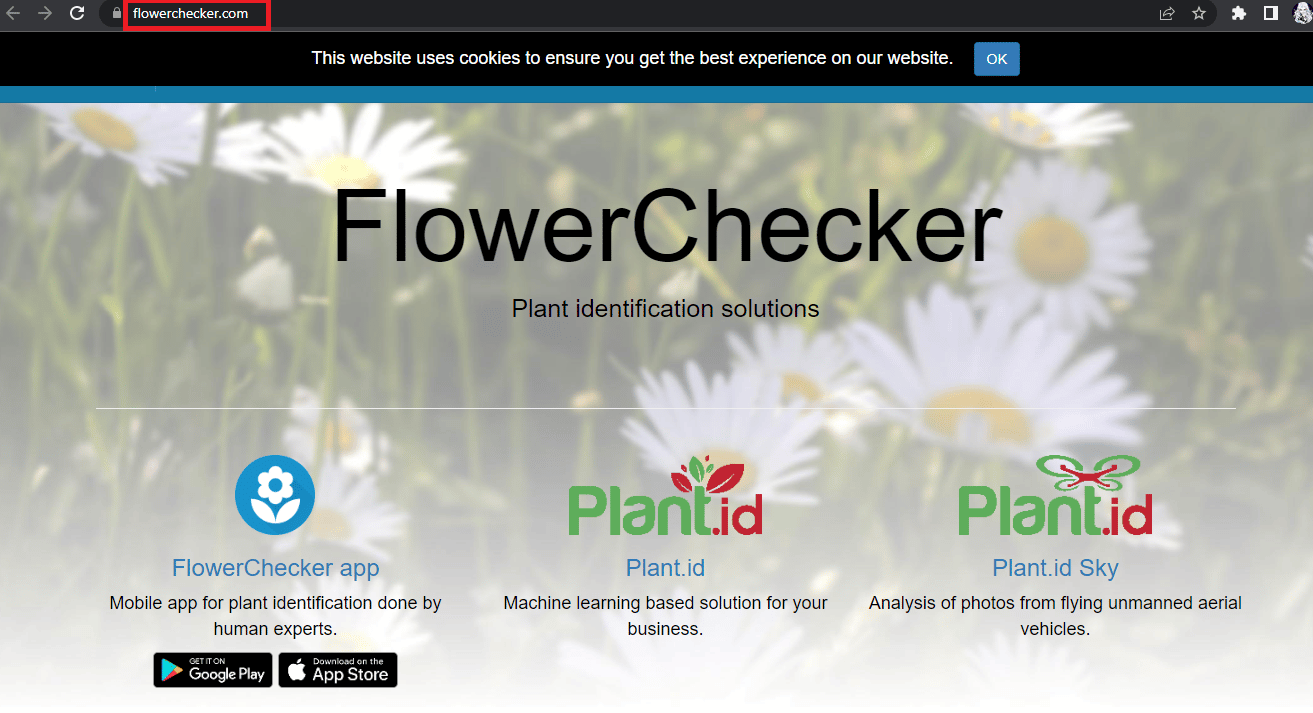 FlowerChecker-Startseite | Beste Apps zum Identifizieren von Bäumen anhand der Rinde